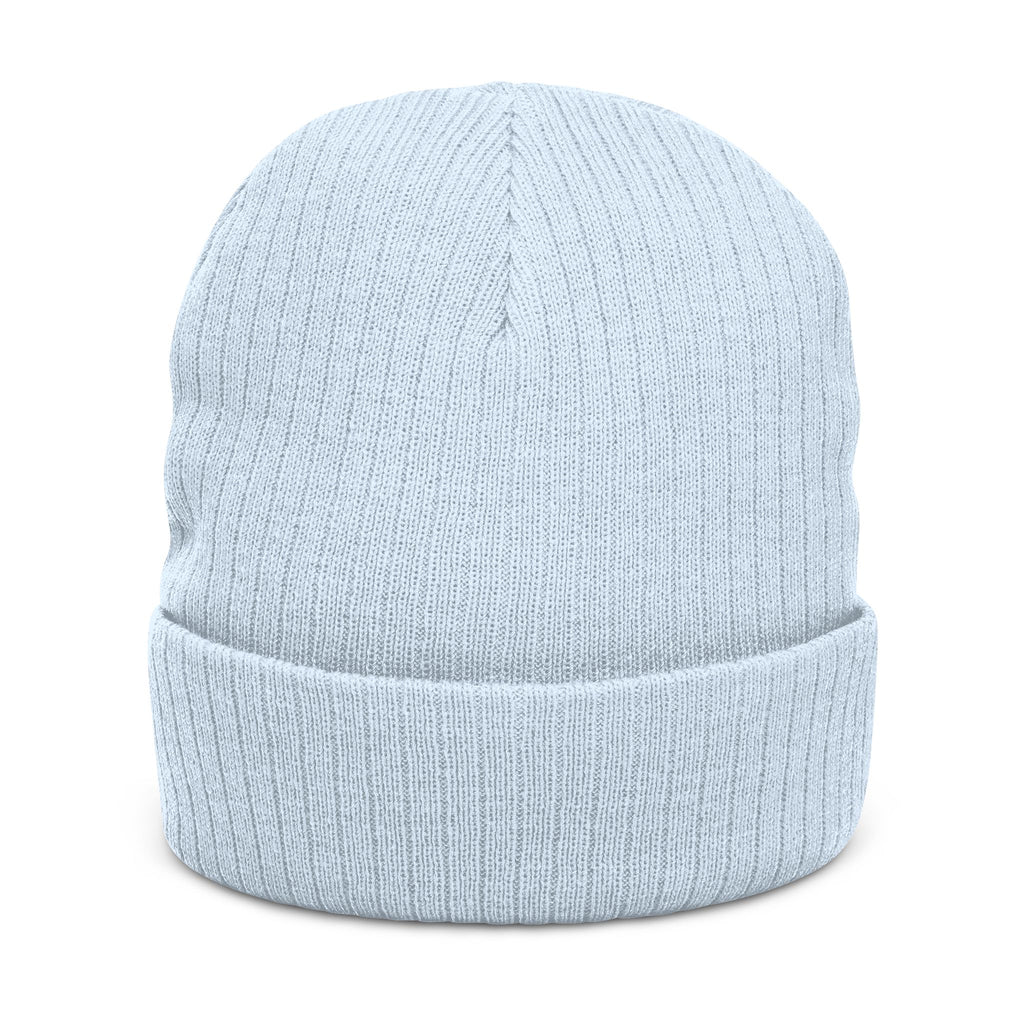 Quantinasaas embroidered beanie | Ribbed knit cuff hat